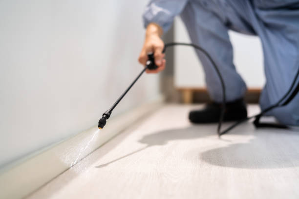 Professional exterminator conducting IPM assessment in Newberry